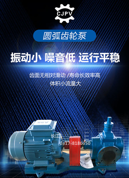 圆弧齿轮泵的特点介绍