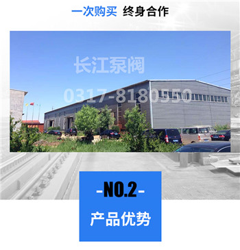 泊头长江齿轮油泵一次购买终身合作